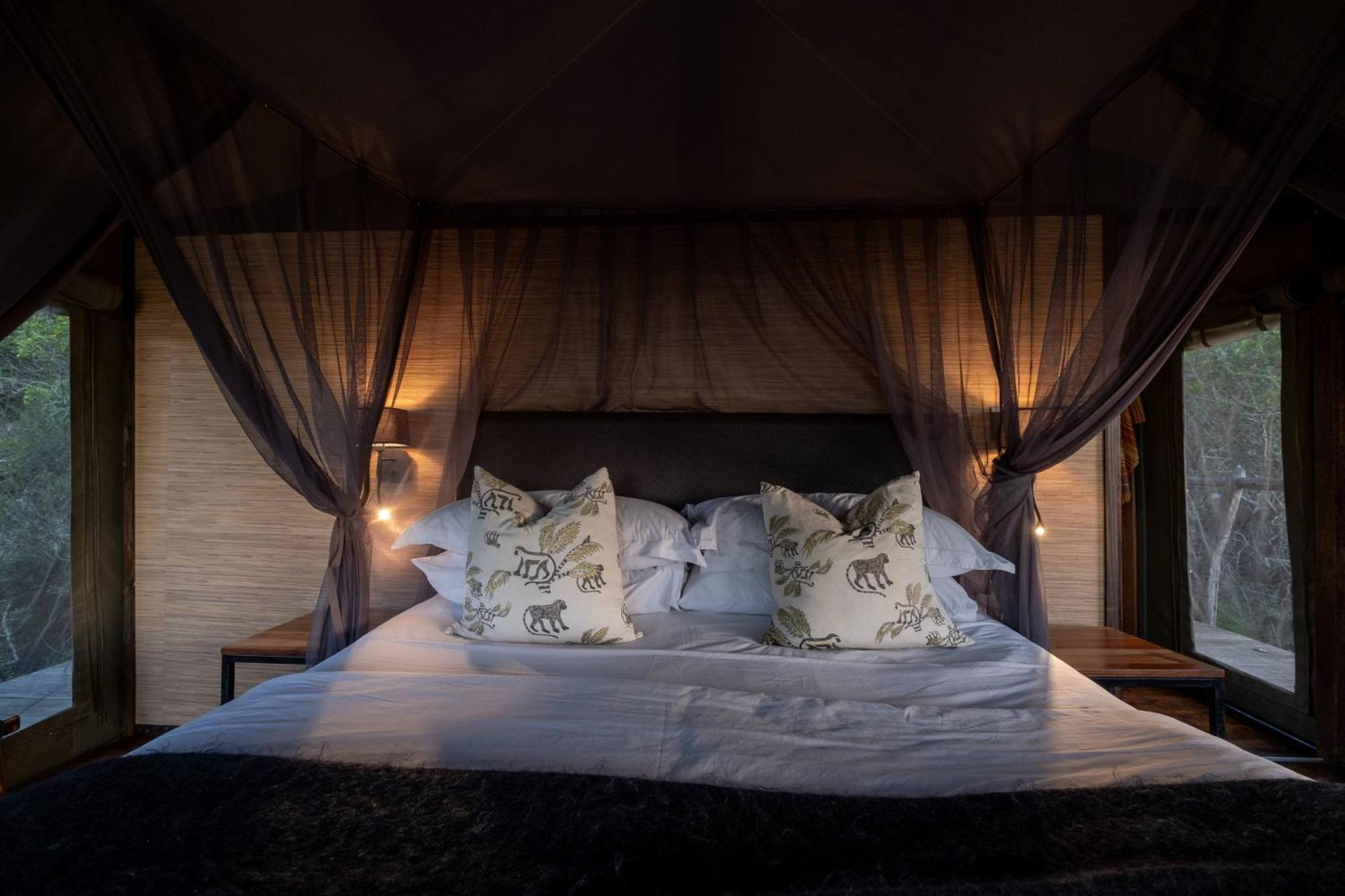 Hillsnek Safari Camp - Amakhala Vadrezervátum Kültér fotó