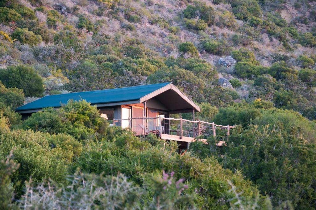 Hillsnek Safari Camp - Amakhala Vadrezervátum Szoba fotó
