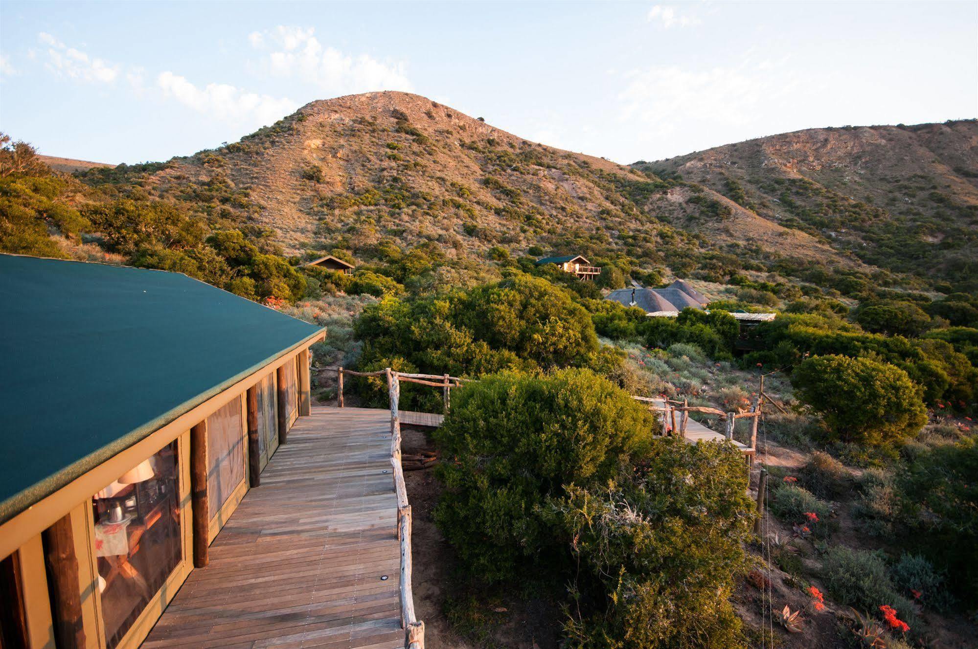 Hillsnek Safari Camp - Amakhala Vadrezervátum Kültér fotó