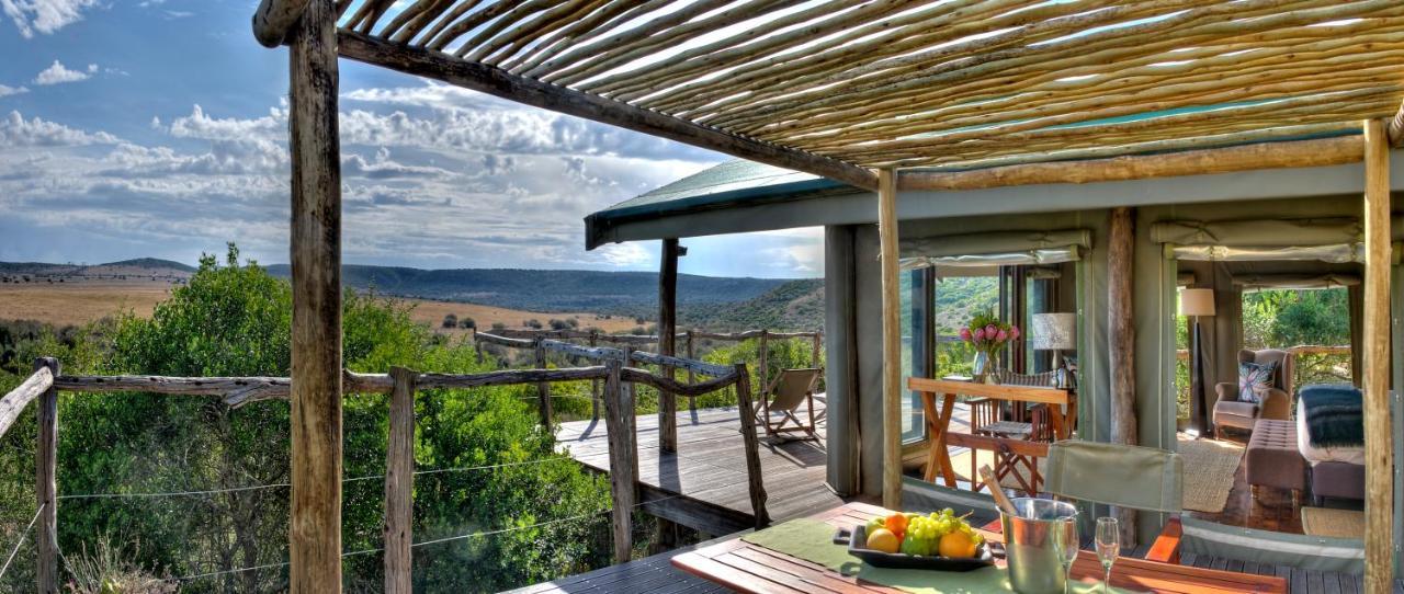 Hillsnek Safari Camp - Amakhala Vadrezervátum Kültér fotó