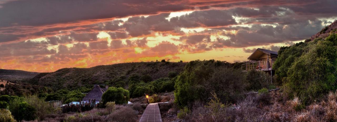 Hillsnek Safari Camp - Amakhala Game Reserve Villa Kültér fotó